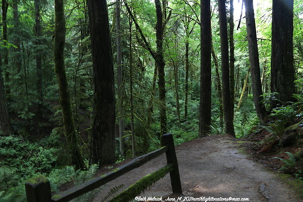 redwood trail 6 14 21 021