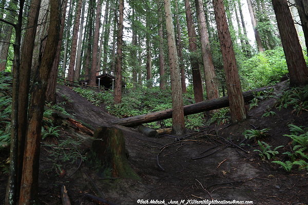 redwood trail 6 14 21 000