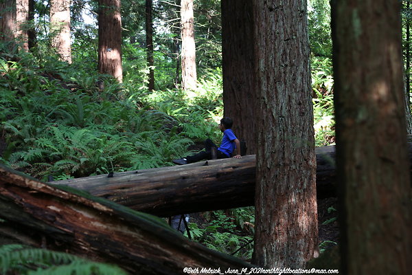 redwood trail 6 14 21 025