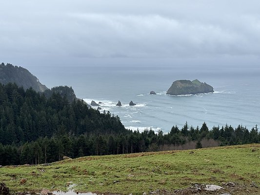 IMG 4634