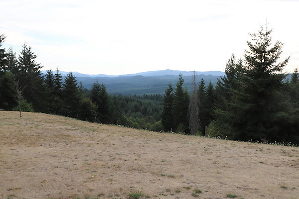 IMG 2876