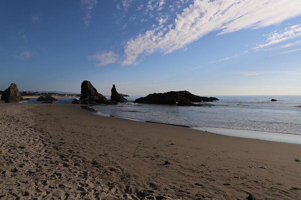 Bandon Beach 21